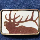 Copy of Bison Sunset Buckle
