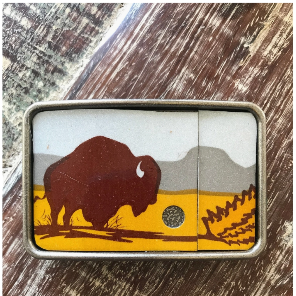 Bison Landscape