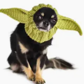 What's Under The Hood Pet Hat