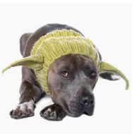 What's Under The Hood Pet Hat