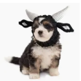 What's Under The Hood Pet Hat