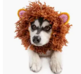 What's Under The Hood Pet Hat