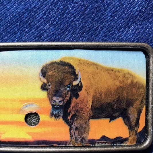 Bison Sunset Buckle